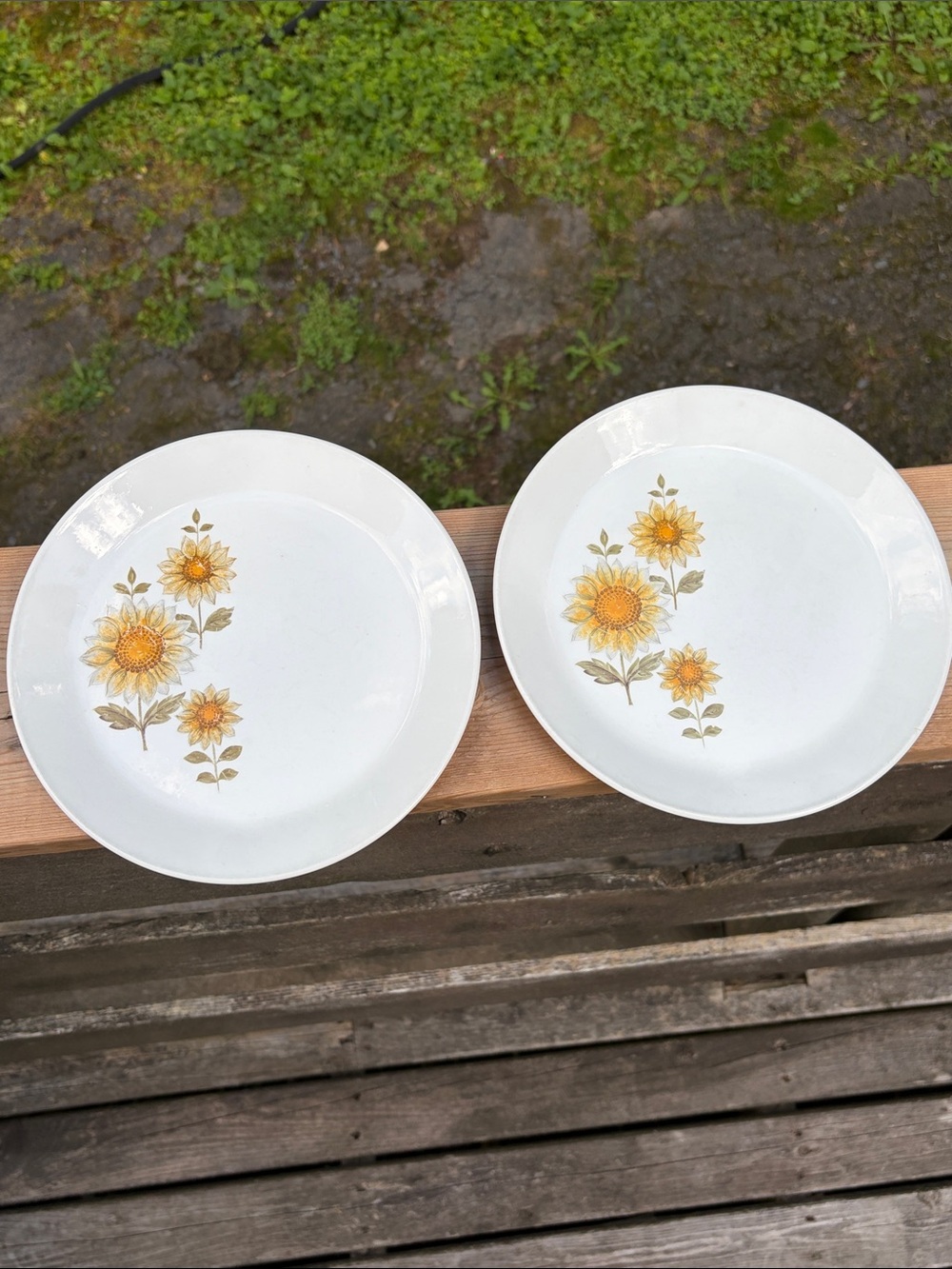 2 vintage Ironstone Sunflower salad Plates